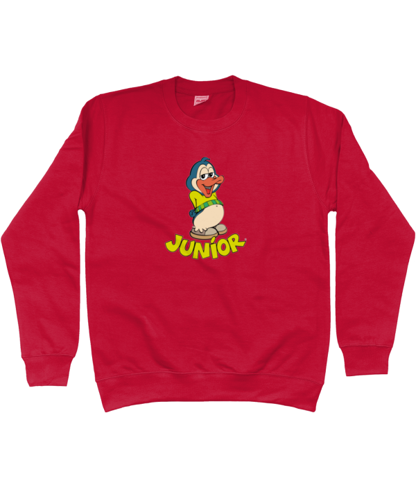 Kids Sweatshirt Junior